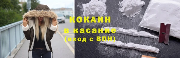 шишки Арсеньев