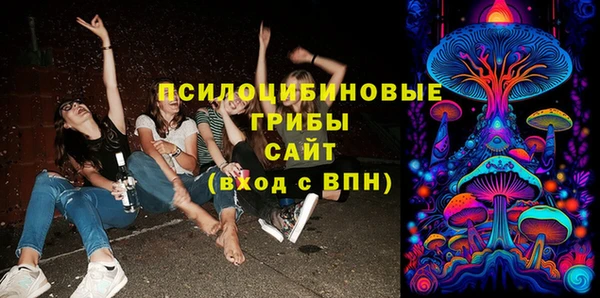 шишки Арсеньев