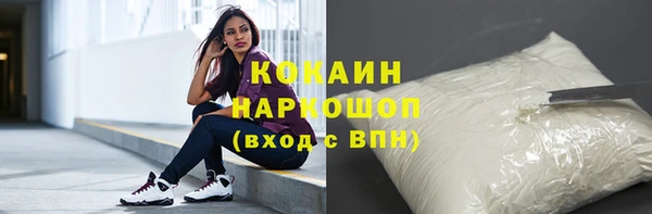 шишки Арсеньев