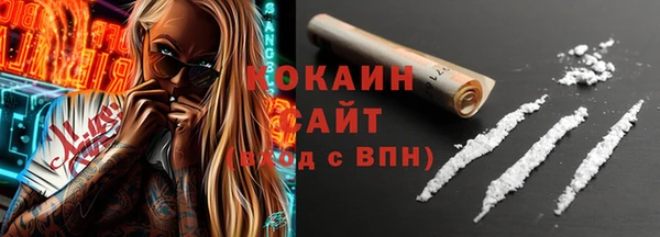шишки Арсеньев