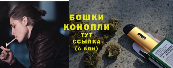 шишки Арсеньев
