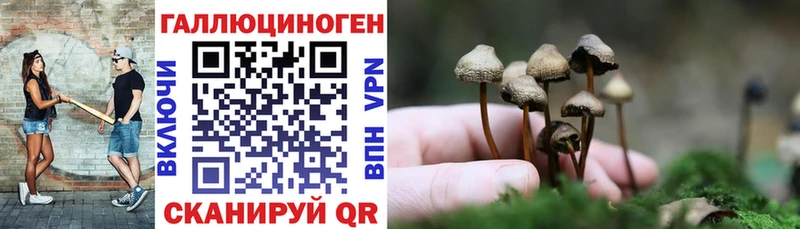 Псилоцибиновые грибы Psilocybe  купить наркоту  Бабушкин 